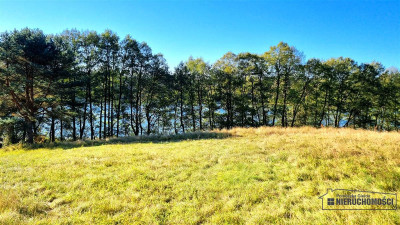 Unikat Działka z dostępem do jeziora Dołgie - Dołgie  -
Zachodniopomorskie Zdjęcie nr 12