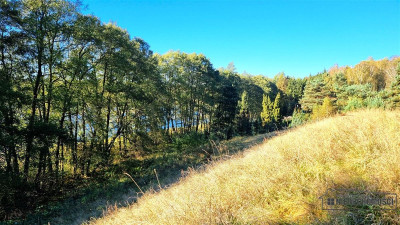 Unikat Działka z dostępem do jeziora Dołgie - Dołgie  -
Zachodniopomorskie Zdjęcie nr 13