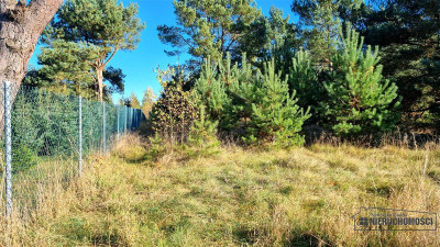 Unikat Działka z dostępem do jeziora Dołgie - Dołgie  -
Zachodniopomorskie Zdjęcie nr 14