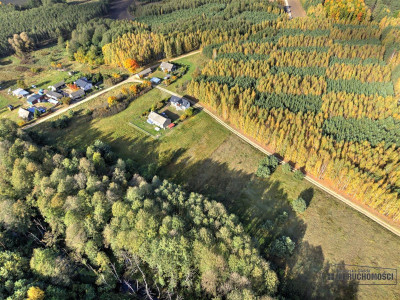 Działka pod lasem na raty - Piaseczno - Piaseczno  -
Zachodniopomorskie Zdjęcie nr 10