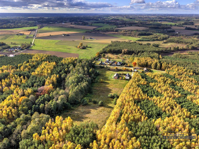Działka pod lasem na raty - Piaseczno - Piaseczno  -
Zachodniopomorskie Zdjęcie nr 14