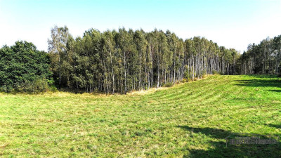 NA RATY działka budowlana 35 km od Koszalina - Gło - Głodowa  -
Zachodniopomorskie Zdjęcie nr 10