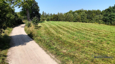 NA RATY działka budowlana 35 km od Koszalina - Gło - Głodowa  -
Zachodniopomorskie Zdjęcie nr 11