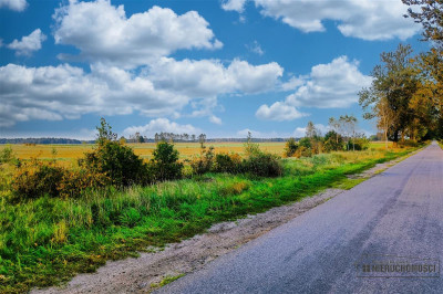 Duża działka letniskowa w pobliżu jez Wierzchowo - Stare Wierzchowo  -
Zachodniopomorskie Zdjęcie nr 10