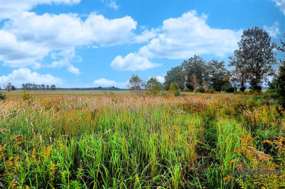 Duża działka letniskowa w pobliżu jez Wierzchowo - Stare Wierzchowo  -
Zachodniopomorskie Zdjęcie nr 7
