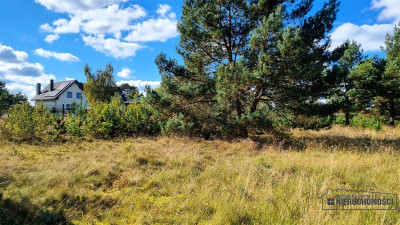 Nad jeziorem Prąd wodociąg kanalizacja plaża - Dołgie  -
Zachodniopomorskie Zdjęcie nr 10