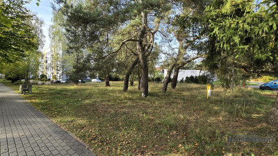 Borne Sulinowo - działka pod budownictwo wielorodz - Borne Sulinowo  -
Zachodniopomorskie Zdjęcie nr 14