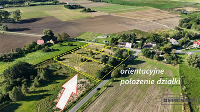 Nowogardek - działka ok 5 km od Morza Bałtyckiego - Nowogardek  -
Zachodniopomorskie Zdjęcie nr 12