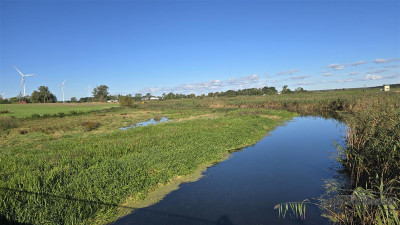 Nowogardek - działka ok 5 km od Morza Bałtyckiego - Nowogardek  -
Zachodniopomorskie Zdjęcie nr 14