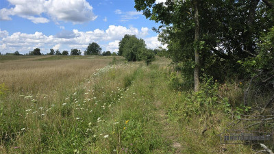 możliwość zabudowy zagrodowej -1 km od jeziora Pil - Silnowo  -
Zachodniopomorskie Zdjęcie nr 14