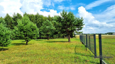 NA RATY Ogrodzone działki blisko jez Dołgie - Dołgie  -
Zachodniopomorskie Zdjęcie nr 14