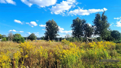 1504m2 pod dom jednorodzinnySzczecinekTrzesieka - Szczecinek  -
Zachodniopomorskie Zdjęcie nr 11