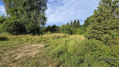 działka budowlana Krągi gm Boren Sulinowo - Krągi  -
Zachodniopomorskie Zdjęcie nr 9