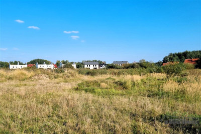 Działka 136 ha pod domy w Trzesiece ulSpacerowa - Szczecinek  -
Zachodniopomorskie Zdjęcie nr 10