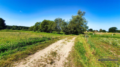 Działki budowlane  rata tylko 735 zł Mieszałki - Mieszałki  -
Zachodniopomorskie Zdjęcie nr 14