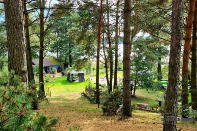 Prywatna plaża teren i las nad jeziorem Dołgie - Dołgie  -
Zachodniopomorskie Zdjęcie nr 13