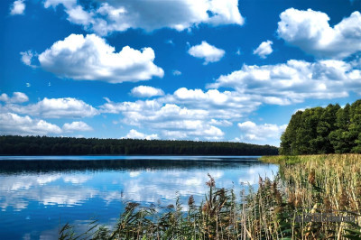 Prywatna plaża teren i las nad jeziorem Dołgie - Dołgie  -
Zachodniopomorskie Zdjęcie nr 7