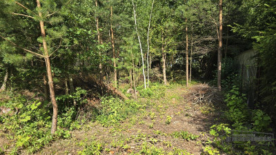 Działka w Bornem Sulinowie przy ulicy B Chrobrego - Borne Sulinowo  -
Zachodniopomorskie Zdjęcie nr 8