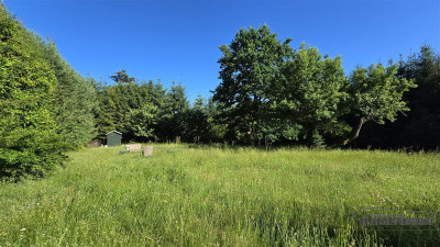 Działka nad Jeziorem Ciemino - Grabno  -
Zachodniopomorskie Zdjęcie nr 11