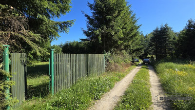 Działka nad Jeziorem Ciemino - Grabno  -
Zachodniopomorskie Zdjęcie nr 8