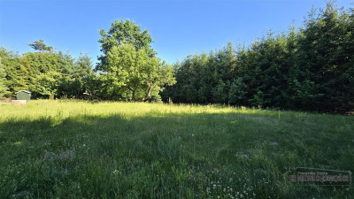 Działka nad Jeziorem Ciemino - Grabno  -
Zachodniopomorskie Zdjęcie nr 9