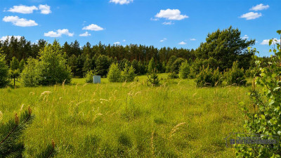 Działka budowlana nad pięknym jeziorem Dołgie - Dołgie  -
Zachodniopomorskie Zdjęcie nr 14