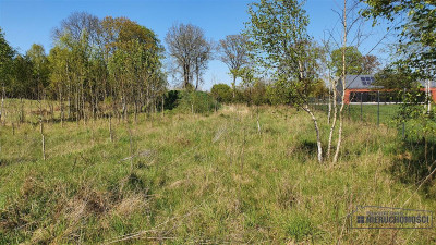 Rakowo - działka budowlana 15 km od Jeziora Komor - Rakowo  -
Zachodniopomorskie Zdjęcie nr 13