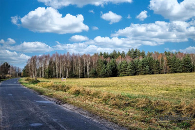 Działka na skraju wsi w pobliżu lasu - Ubiedrze  -
Zachodniopomorskie Zdjęcie nr 11