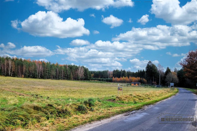 Działka na skraju wsi w pobliżu lasu - Ubiedrze  -
Zachodniopomorskie Zdjęcie nr 7