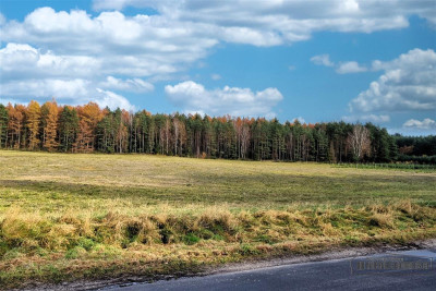 Działka na skraju wsi w pobliżu lasu - Ubiedrze  -
Zachodniopomorskie Zdjęcie nr 8