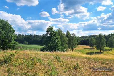 Na raty Działki budowlane na skraju wsi - Radomyśl  -
Zachodniopomorskie Zdjęcie nr 10