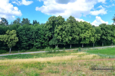 Na raty Działki budowlane na skraju wsi - Radomyśl  -
Zachodniopomorskie Zdjęcie nr 12