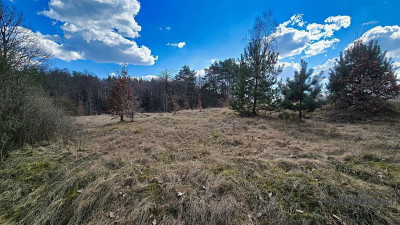 Działka pod lasem na skraju wsi - możliwość zabudo - Starowice  -
Zachodniopomorskie Zdjęcie nr 13
