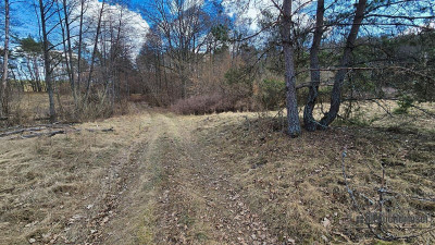 Działka pod lasem na skraju wsi - możliwość zabudo - Starowice  -
Zachodniopomorskie Zdjęcie nr 14