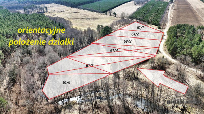 Działka pod lasem na skraju wsi - możliwość zabudo - Starowice  -
Zachodniopomorskie Zdjęcie nr 4