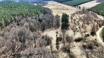 Działka pod lasem na skraju wsi - możliwość zabudo - Starowice  -
Zachodniopomorskie Zdjęcie nr 6