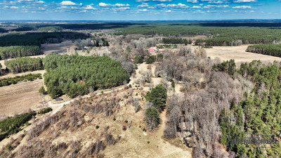 Działka pod lasem na skraju wsi - możliwość zabudo - Starowice  -
Zachodniopomorskie Zdjęcie nr 7