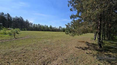 Okole - Grunt siedliskowy w otoczeniu lasu ok 100 - Okole  -
Zachodniopomorskie Zdjęcie nr 10