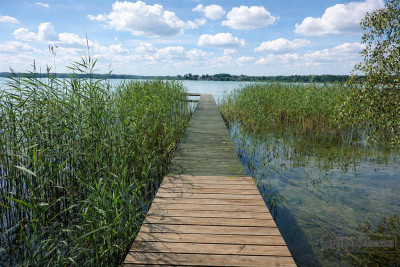 Silnowo - działka rekreacyjna ok 300 m od Jeziora  - Silnowo  -
Zachodniopomorskie Zdjęcie nr 11