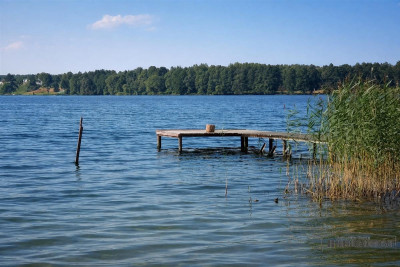 Silnowo - działka rekreacyjna ok 300 m od Jeziora  - Silnowo  -
Zachodniopomorskie Zdjęcie nr 12