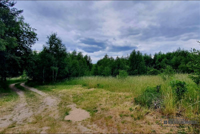 Silnowo - działka rekreacyjna ok 300 m od Jeziora  - Silnowo  -
Zachodniopomorskie Zdjęcie nr 6