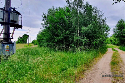 Silnowo - działka rekreacyjna ok 300 m od Jeziora  - Silnowo  -
Zachodniopomorskie Zdjęcie nr 8