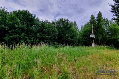 Silnowo - działka rekreacyjna ok 300 m od Jeziora  - Silnowo  -
Zachodniopomorskie Zdjęcie nr 9