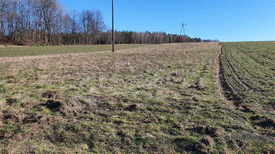 Działki budowlane ok 30 km od  Bałtyku - Zaspy Małe  -
Zachodniopomorskie Zdjęcie nr 11