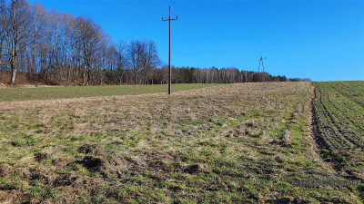 Działki budowlane ok 30 km od  Bałtyku - Zaspy Małe  -
Zachodniopomorskie Zdjęcie nr 12