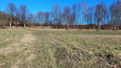 Działki budowlane ok 30 km od  Bałtyku - Zaspy Małe  -
Zachodniopomorskie Zdjęcie nr 13