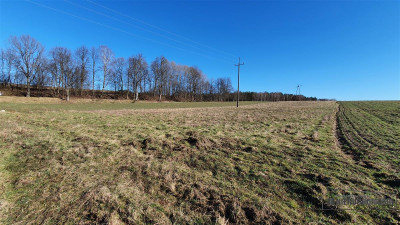 Działki budowlane ok 30 km od  Bałtyku - Zaspy Małe  -
Zachodniopomorskie Zdjęcie nr 14