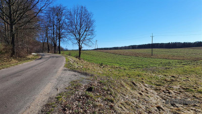 Działki budowlane ok 30 km od  Bałtyku - Zaspy Małe  -
Zachodniopomorskie Zdjęcie nr 3