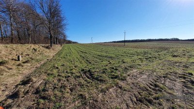 Działki budowlane ok 30 km od  Bałtyku - Zaspy Małe  -
Zachodniopomorskie Zdjęcie nr 8