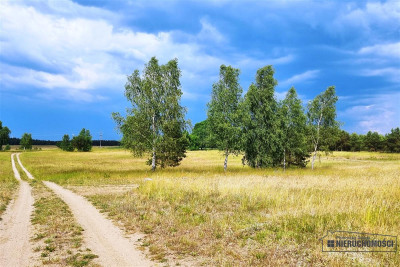 Działka położona blisko jeziora Dołgie - Dołgie  -
Zachodniopomorskie Zdjęcie nr 7